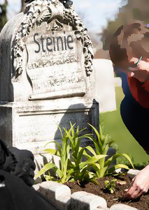 SteinieSeeds.jpg