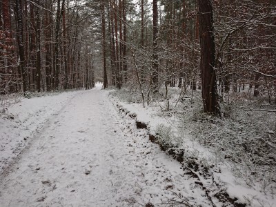 DSC_2293.JPG