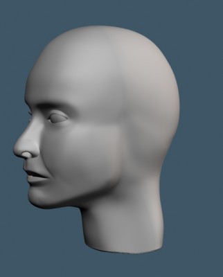facewip02.jpg