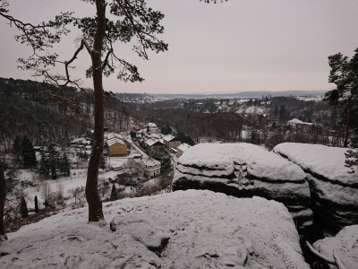DSC_2290.JPG