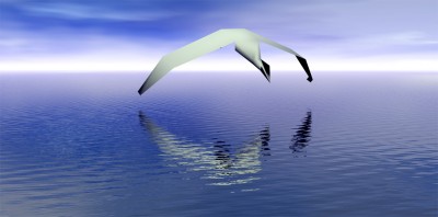 bird haiku.jpg (108.03 KiB) Viewed 4932 times bird haiku.jpg