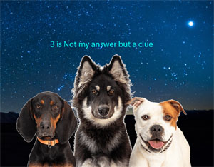 Clue2MyAnswer.jpg