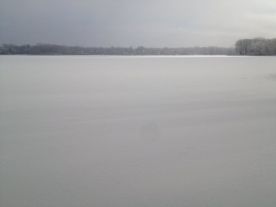 LPSR_No_1_2021.jpg