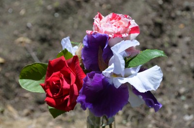 Wish you were here 04.JPG