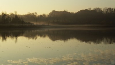 nov15_dawn_3.jpg