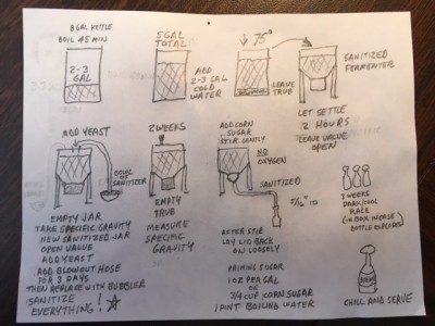 SteinieSteps.jpg