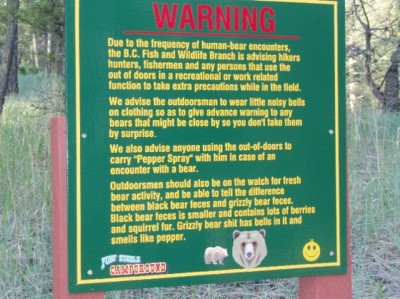 Bears.jpg