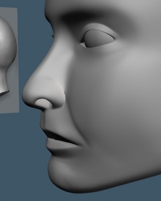 facewip01.jpg