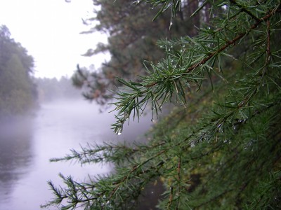 IMGP4727_e_sml.JPG