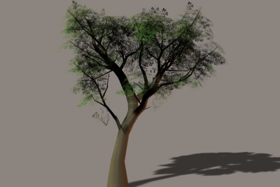 Tree5.jpg