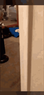alarm.gif