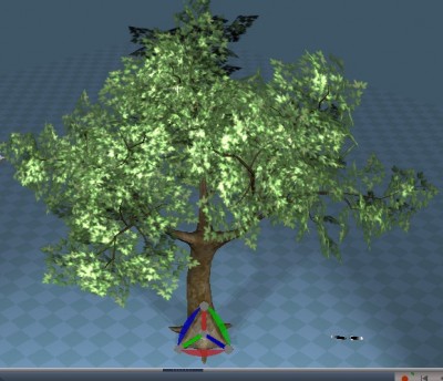 tree.jpg