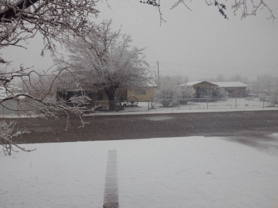 Snow11March2022.jpg