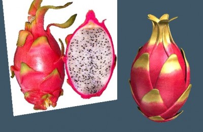 FruitDemo5.jpg