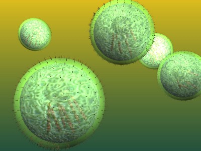 microbes 06 PS.jpg