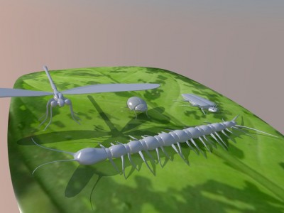 Insects_temp.jpg