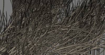 grass_wire.jpg