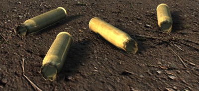 Fired Bullets