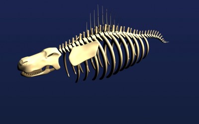 theskeletonbeast.jpg
