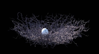 BirdNest.jpg (76.48 KiB) Viewed 4551 times BirdNest.jpg