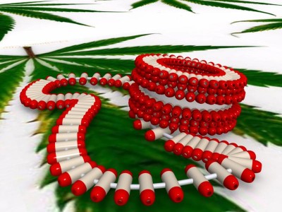 CAPSULE BRACELET AND NECKLACE.jpg