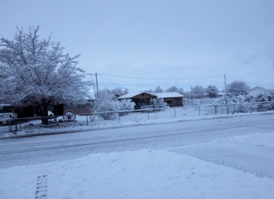 Snow.jpg