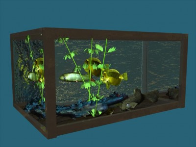 aquarium build 4.jpg (67.32 KiB) Viewed 2474 times aquarium build 4.jpg