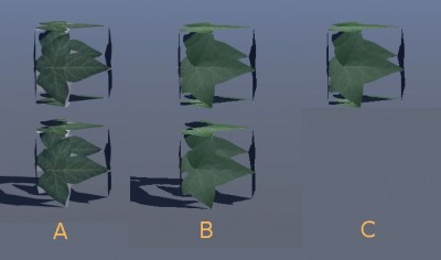 LeafBoxes.jpg