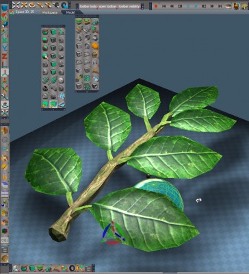 leaf.jpg