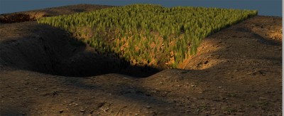 Grass test