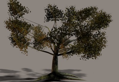 Tree.jpg (250.58 KiB) Viewed 1856 times Tree.jpg