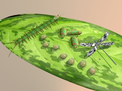 Insects_temp.jpg
