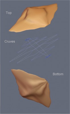 MantaGordonSurface_1.jpg (32.48 KiB) Viewed 5368 times MantaGordonSurface_1.jpg
