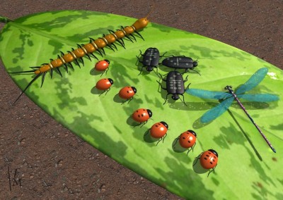 Insects_U3DAC.jpg