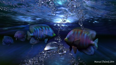 poissons.jpg (337.88 KiB) Viewed 3248 times poissons.jpg