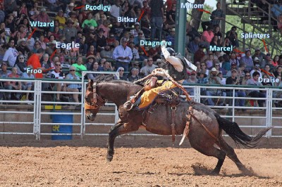 rodeo.jpg (208.55 KiB) Viewed 4358 times rodeo.jpg