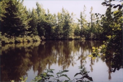 Pond_1024.jpg (216.99 KiB) Viewed 91 times Pond_1024.jpg