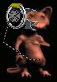 wearetheborg.jpg