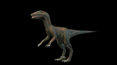 Rapter.jpg (50.23 KiB) Viewed 4401 times Rapter.jpg