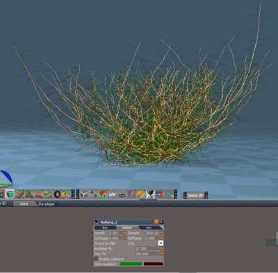 bush.JPG
