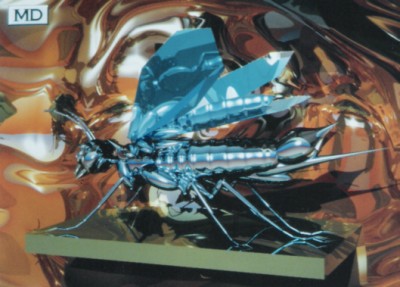 Insect.jpg (132.16 KiB) Viewed 2544 times Insect.jpg