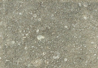 FM_FossilRockTiled.jpg (192.31 KiB) Viewed 4566 times FM_FossilRockTiled.jpg
