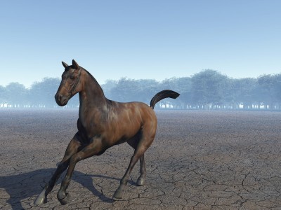 Horse render web.jpg (119.53 KiB) Viewed 3119 times Horse render web.jpg