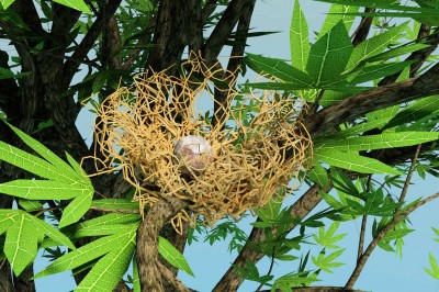 BridsNestTreeHouse.jpg