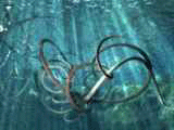 you see an animation saved as a Collada file....