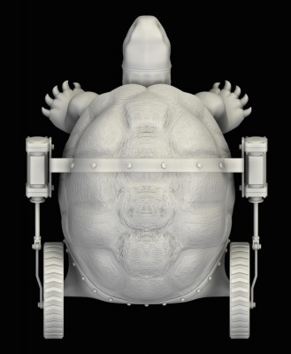 Tort-7.jpg
