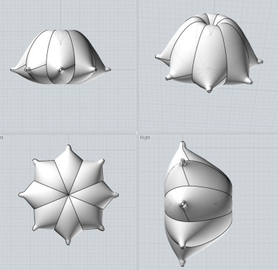 Boobyhydron.jpg