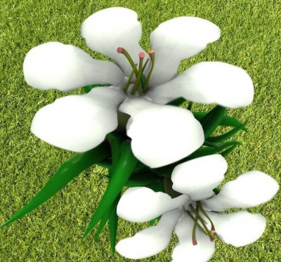 flower.jpg (154.7 KiB) Viewed 5092 times flower.jpg