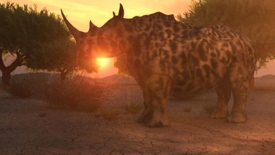 Rhinorender.jpg