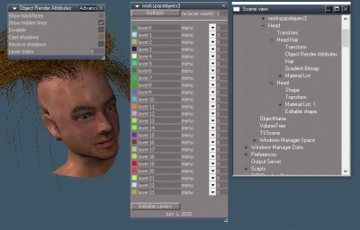 Step2Hair.jpg